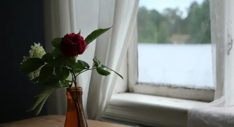 Ruusu ruskeassa lasipullossa puupöydällä vanhan ikkunan edessä, taustalla järvi.