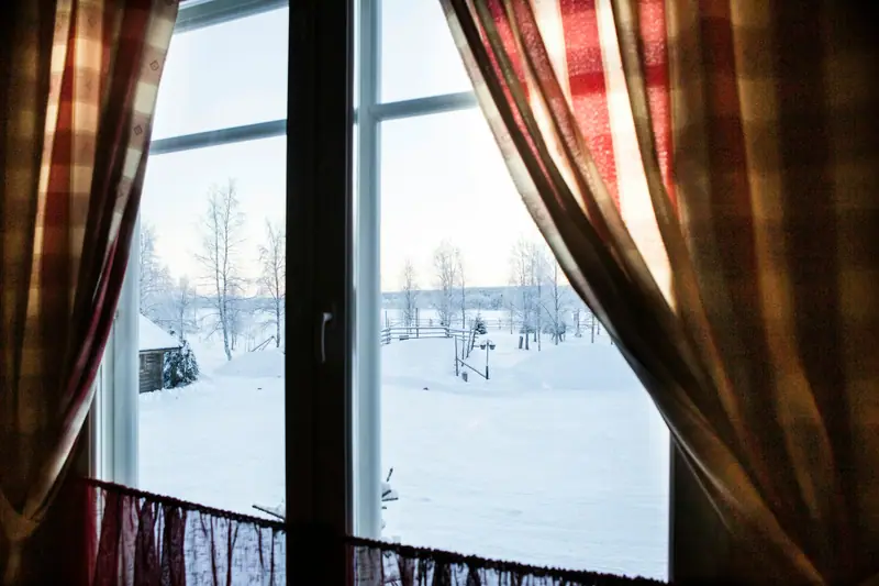 Näkymä ikkunasta lumiseen pihaan ja koivuihin ruudullisten verhojen välistä.