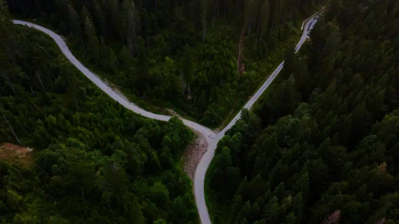 Ilmakuva kapeasta tiestä, joka haarautuu kahteen suuntaan tiheän havumetsän keskellä.