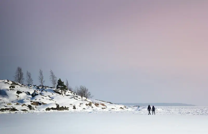 Kaksi ihmistä kävelee lumisella jäällä kallioisen, koivuja kasvavan rannan edustalla.